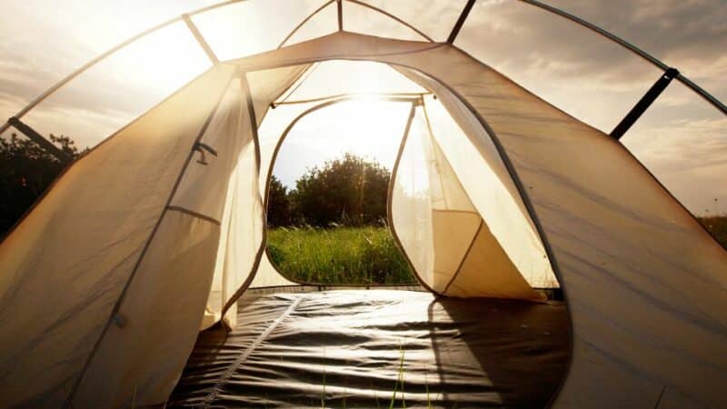 picking tents