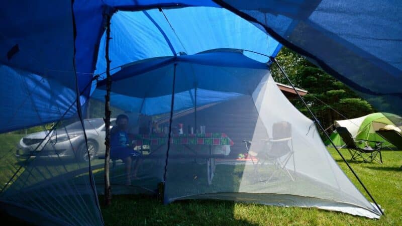 picking tents
