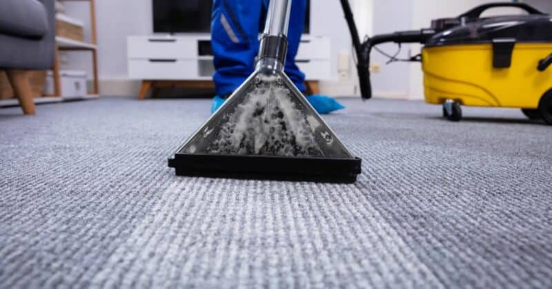 carpet cleaning costs